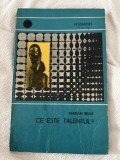 Ce este talentul? - Marian Bejat