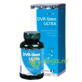 DVR Stem Ultra 30cps