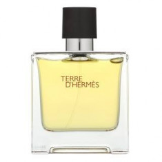 Hermes Terre D&amp;amp;apos;Hermes parfum pentru barbati 75 ml foto