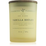 DW Home Charming Farmhouse Vanilla Br&ucirc;l&eacute;e lum&acirc;nare parfumată 230 g