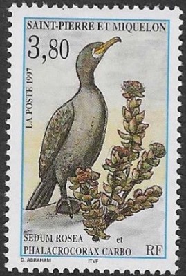 C4353 - Saint Pierre si Miquelon 1997 - Pasari neuzat,perfecta stare foto