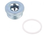 Obturator oţel zincat G 1 cu garnitură PVC