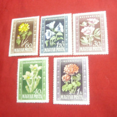 Serie Flora Ungaria 1950 , 5 valori