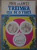 Treimea Cea de O Fiinta - Ioan Neamtu, Editura Opinia 1991, Crestinism, Carte Religioasa, Romana, Necartonata
