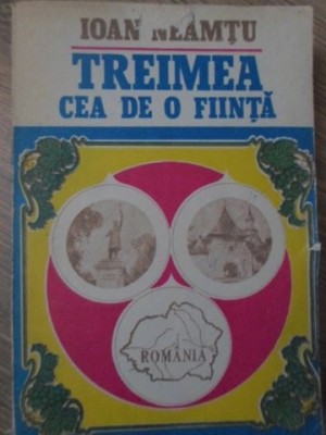 TREIMEA CEA DE O FIINTA-IOAN NEAMTU-216348 foto