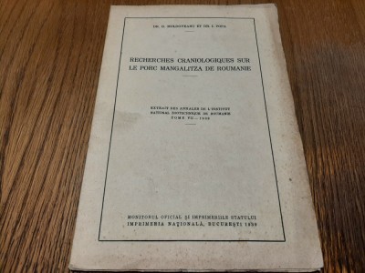 RECHERCHES CRANIOLOGIQUES SUR LE PORC MANGALITZA .- G. Moldoveanu -1939, 33p+pl. foto