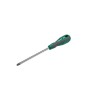 Surubelnita plus PZ1x100mm Cr-Va-Mo magnetica Proline