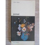JURNAL-ODILON REDON-107581