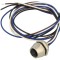 Conector M12 EPIC&reg; M12 FEAF4F-0.5-M16