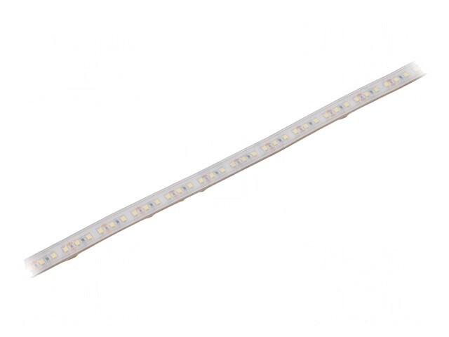Bandă LED Alb Rece 12V IP65