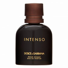 Dolce &amp;amp;amp; Gabbana Pour Homme Intenso eau de Toilette pentru barbati 40 ml foto