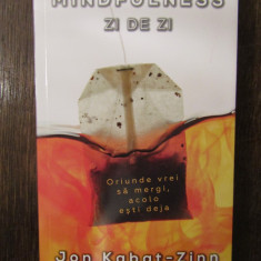 Mindfulness zi de zi - Jon Kabat-Zinn
