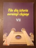 Andreea Ghiță (ed.) - File din istoria evreimii clujene vol. 7 / VII