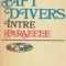 Fapt divers intre paralele - roman