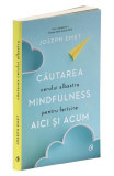 Cautarea cerului albastru: Mindfulness pentru fericire aici si acum, Curtea Veche