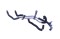 icon 5