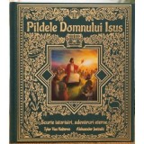 Pildele Domnului Isus, Scurte istorisiri, adevaruri eterne - Tyler Van Halteren