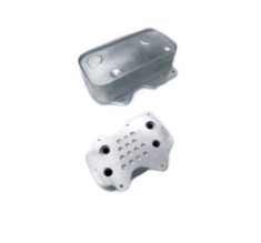 Radiator racire ulei motor, termoflot Audi A6 (B6), 06.2001-05.2004, motor 4.2 V8, benzina, cv automata, cu AC, , 163x78x58 mm, din aluminiu foto