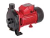 Pompa de suprafata pentru apa curata 850 W Raider Power Tools