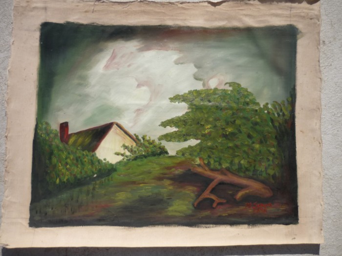 TABLOU PE PANZA SEMNAT, FARA SASIU (E 42/31 cm.)