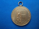 MEDALIE SALZBURG-50, Europa