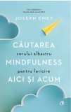 Cautarea cerului albastru | Joseph Emet