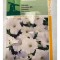Seminte flori Petunia Nana Compacta Alb - Petunia Horti Tops 0,2 g.