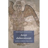 Aripi duhovnicesti pentru cei osteniti si impovarati - Sf. Ignatie Briancianinov