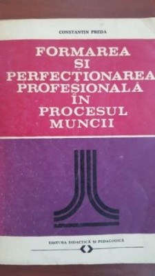 Formarea si perfectionarea profesionala in procesul muncii-Constantin Preda foto