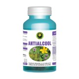 Antialcool 60cps Hypericum, Hypericum Plant