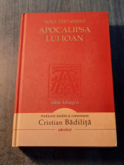 Apocalipsa lui Ioan Noul Testament traducere Cristian Badilita foto