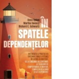 In spatele dependentelor Interventii si practici IFS (Internal Family Systems) in lucrul cu adictiile, de la consumul de substante la tulburari de com