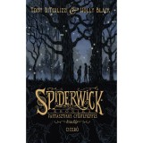 Spiderwick kr&oacute;nika - Fantasztikus gyűjtem&eacute;nyes kiad&aacute;s - Holly Black