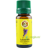 Ulei Esential Lavanda 10ml