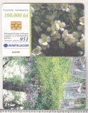 Bnk card Cartela telefonica 2002 - Primavara 2 - RO-ROM-0142
