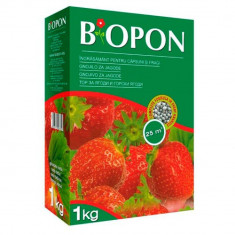 Ingrasamant pentru capsuni si fragi Biopon 1 kg