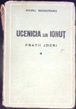 FRATII JDERI. UCENICIA LUI IONUT-MIHAIL SADOVEANU-347086