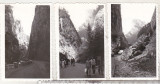 Bnk foto - Cheile Bicazului 1976 - lot 3 fotografii, Alb-Negru, Romania de la 1950, Natura