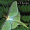 Introducing Spirituality Into Counseling and Therapy