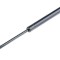 Amortizor portbagaj , L=302mm, F=640n, Renault Fluence, 2010-, NTY AE-RE-045