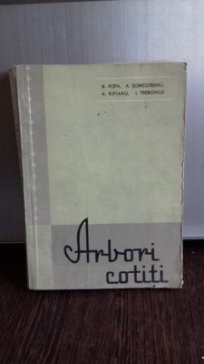 ARBORI COTITI - B. POPA foto