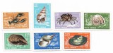 Romania - Crustacee si moluste - 1966, valori neobliterate