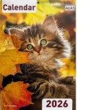Calendar pisici 16 file 2026