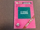 ALGEBRA CLASA XII A ADRIA P GHIOCA ION D ION