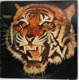 Tiger - Tiger NM / VG+ vinil LP disc hard rock progresiv blues Warner Bros. SUA 1976