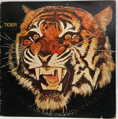 Tiger - Tiger NM / VG+ vinil LP disc hard rock progresiv blues Warner Bros. SUA 1976 foto