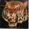 Tiger - Tiger NM / VG+ vinil LP disc hard rock progresiv blues Warner Bros. SUA 1976