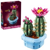 Cumpara ieftin Cactus &icirc;nflorit