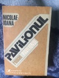 d3 PAVILIONUL - NICOLAE IOANA