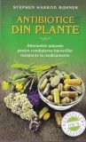 Stephen Harrod Buhner - Antibiotice din plante. Alternative naturale pentru